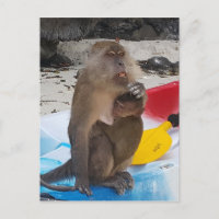 Monkey Mother & Baby