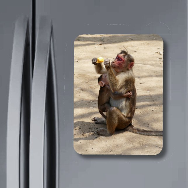 Monkey - Mothers Breakfast Magnet (Creator Uploaded)