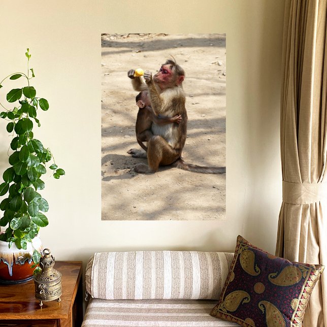 Monkey - Mothers Breakfast Photo Print (Creator Uploaded)