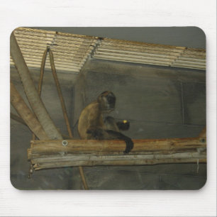 monkey mouse pad