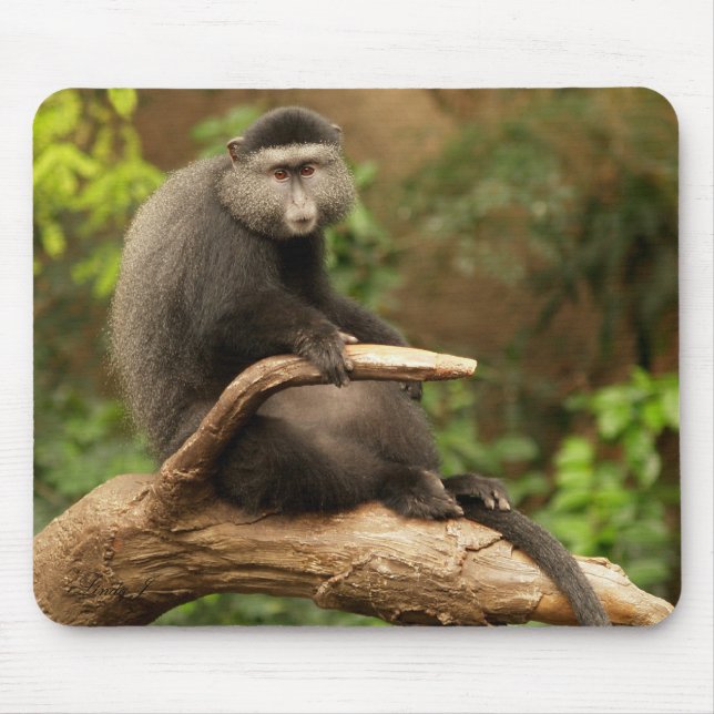 Monkey Mousepad (Front)