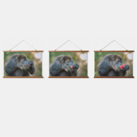 Monkey Munching Watermelon