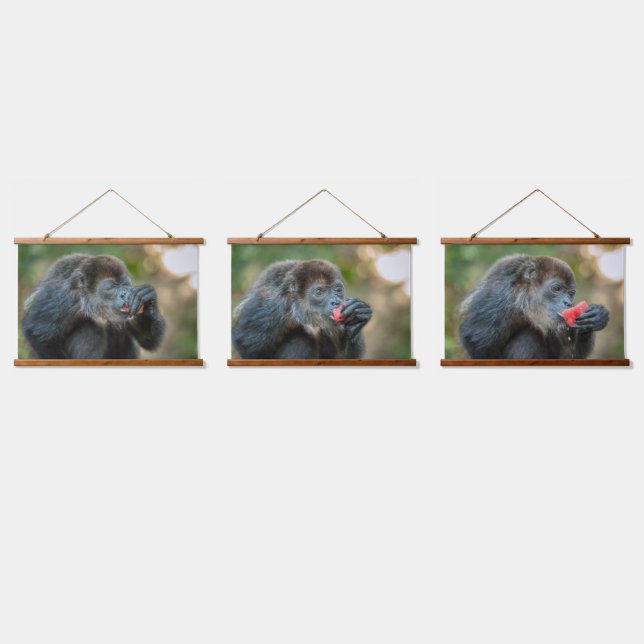 Monkey Munching Watermelon Hanging Tapestry (Triple)