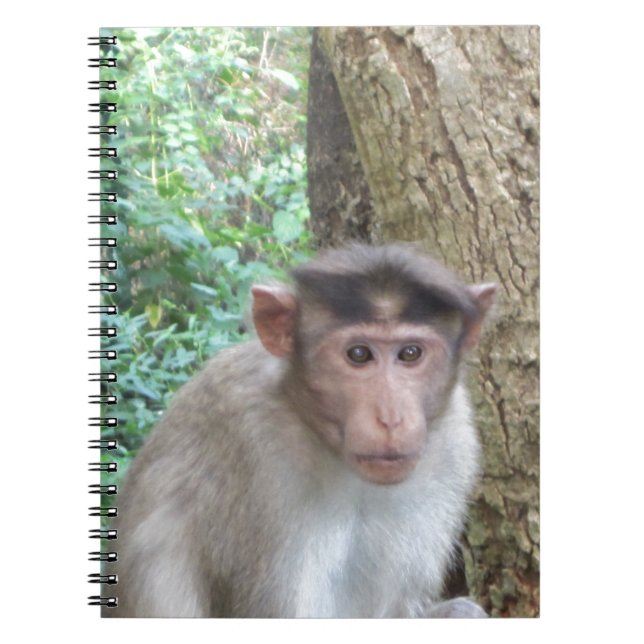 Monkey Notebook (Front)