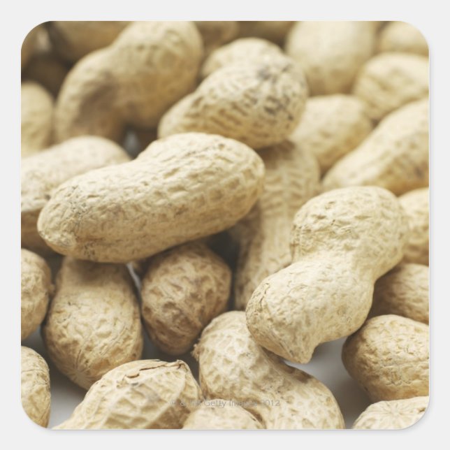 Monkey nuts. square sticker (Front)