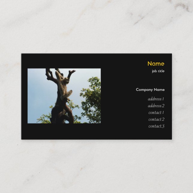 Monkey on the tree, zoo business card (Front)