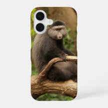 Monkey phone Case