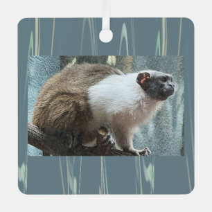 Monkey Photo Ornament 