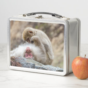 Monkey Photography, Japanese Macaque Monkey Metal Lunch Box