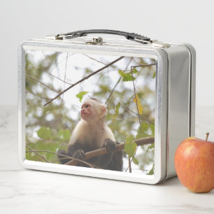 Monkey Photography, White Faced Capuchin Metal Lunch Box