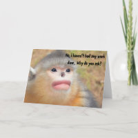 Monkey Plastic Surgery Humour Funny Greeting