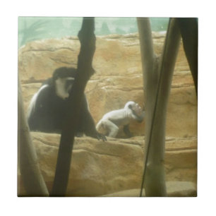 Monkey Play Ceramic Tile