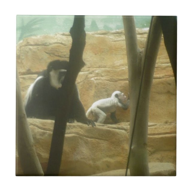 Monkey Play Ceramic Tile (Front)