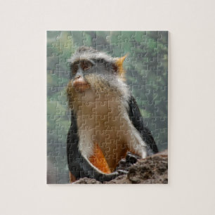 Monkey Portrait Puzzle