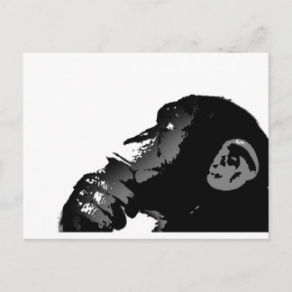 monkey postcard