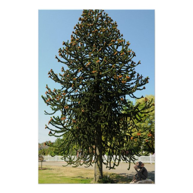 Monkey Puzzle. Poster (Front)