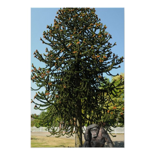 Monkey Puzzle. Poster (Front)