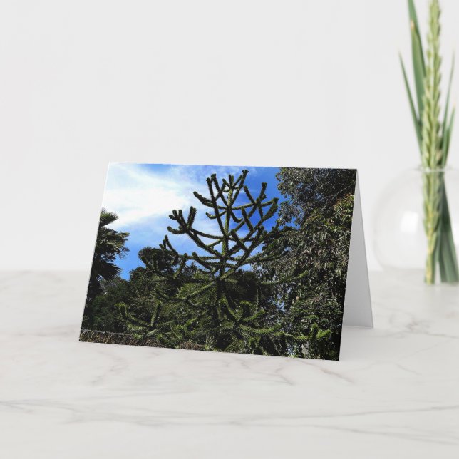 Monkey Puzzle Tree #1 Card (Front)