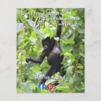 Monkey Real Estate Mailer Get Your Home Sold