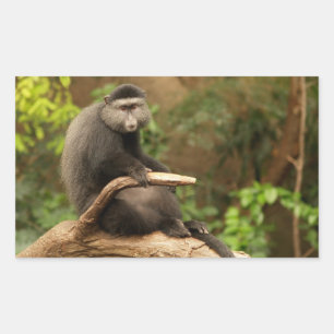 Monkey Rectangle Sticker
