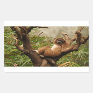 Monkey Rectangle Sticker