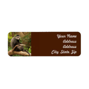 Monkey Return Address Sticker
