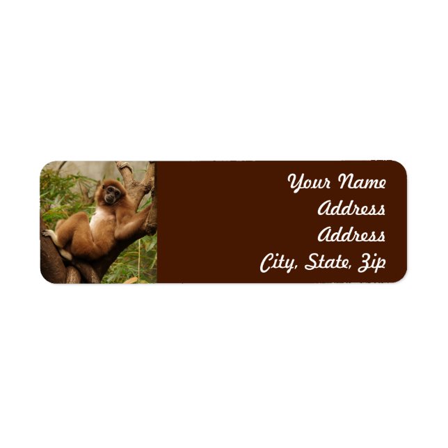 Monkey  Return Address Sticker (Front)