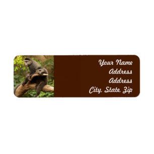Monkey  Return Address Sticker
