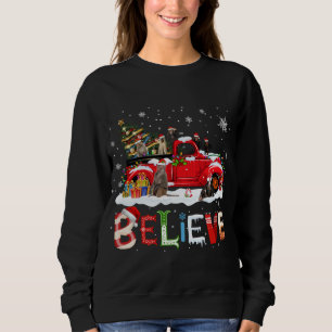 Monkey Riding Red Truck Christmas Tree Believe San Sweatshirt
