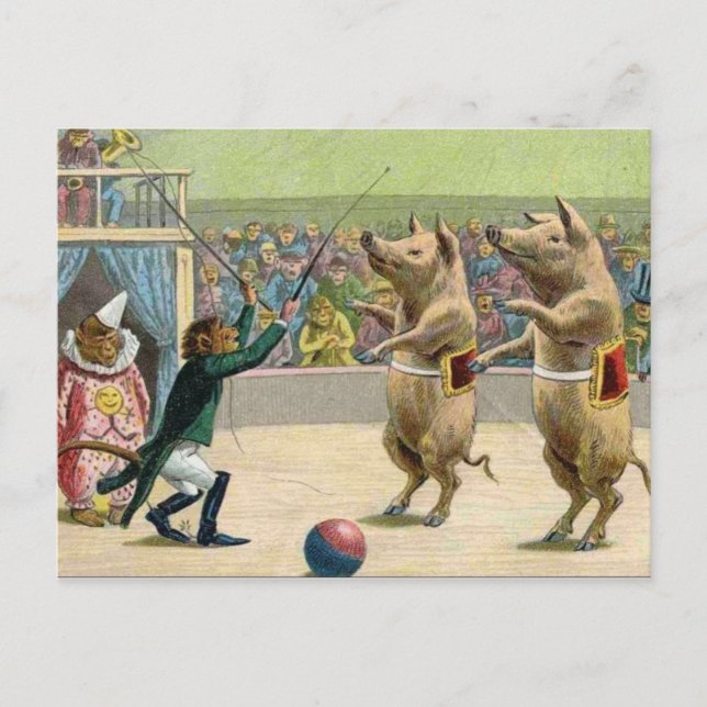 Monkey Ringmaster and Circus Pigs Postcard (Front)