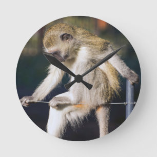 Monkey Round Clock
