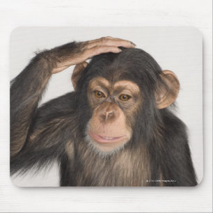 Monkey scratching its head mouse pad