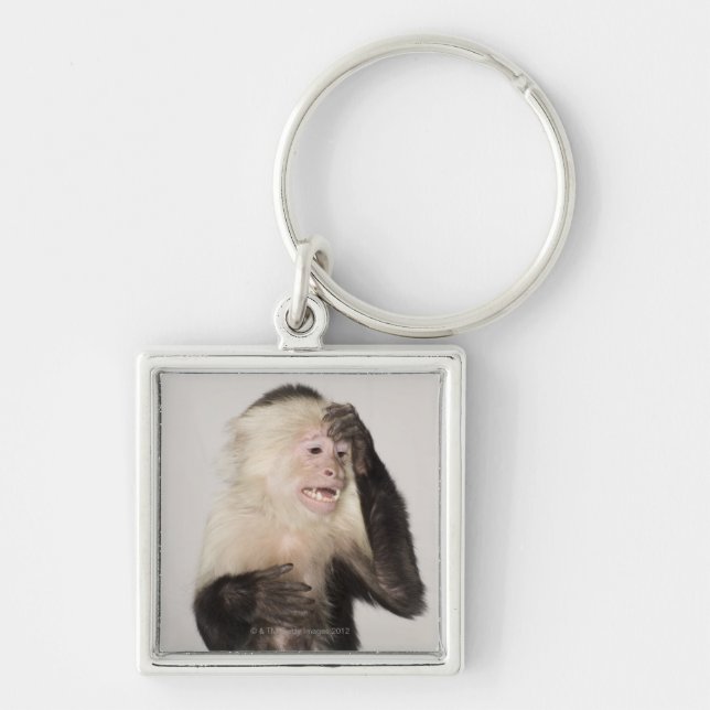 Monkey scratching itself key ring (Front)