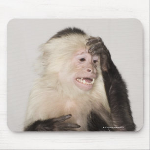 Monkey scratching itself mouse pad