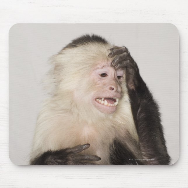 Monkey scratching itself mouse pad (Front)