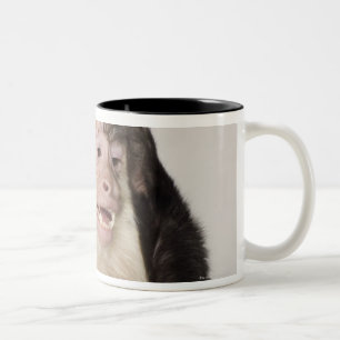 Monkey scratching itself Two-Tone coffee mug