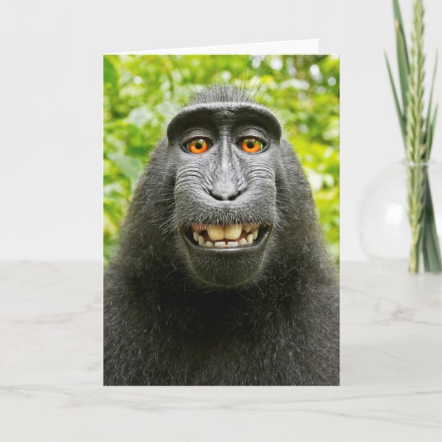 Monkey Selfie Card (Front)
