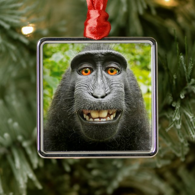 Monkey Selfie Metal Ornament (Tree)