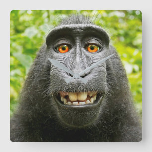 Monkey Selfie Square Wall Clock