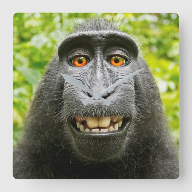 Monkey Selfie Square Wall Clock (Front)