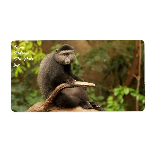 Monkey  Shipping Label (Front)