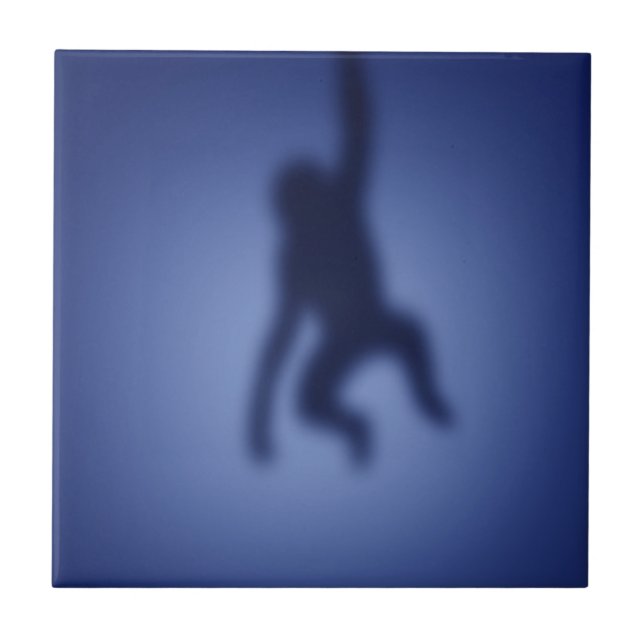 Monkey silhouette ceramic tile (Front)