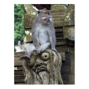 Monkey sitting at a statue in Bali Postcard