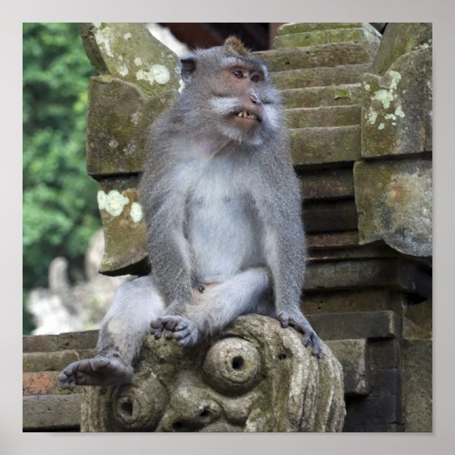 Monkey sitting at a statue in Bali Poster (Front)