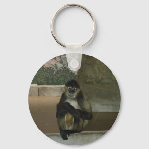 monkey sitting pretty key ring