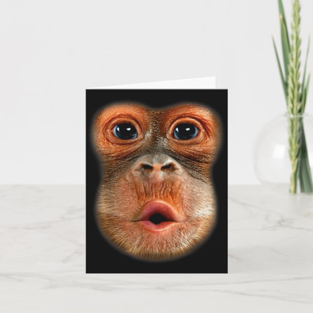 Monkey Stomach Funny Meme Cool Viral Video  Card (Front)