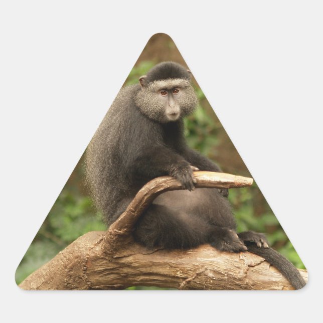 Monkey Triangle Sticker (Front)