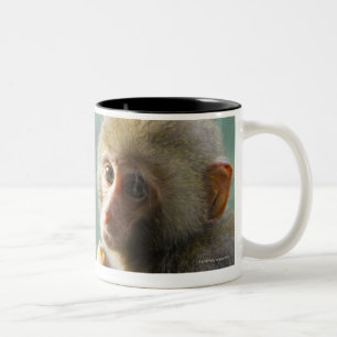 Monkey Two-Tone Coffee Mug