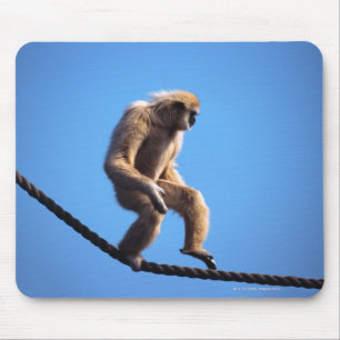 monkey walking on rope mouse pad