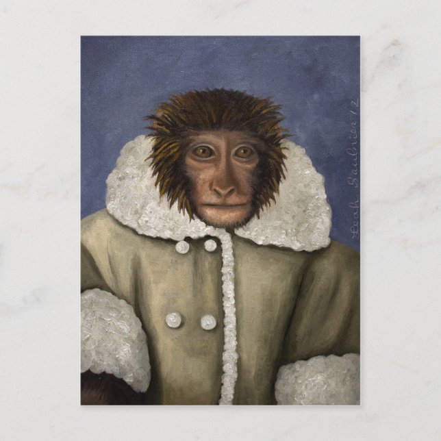 Monkey Wearing Jacket Postcard (Front)